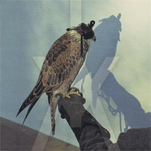 Iceage You're Nothing (LP+CD)